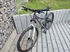 Dámské horské kolo beany 27.5"