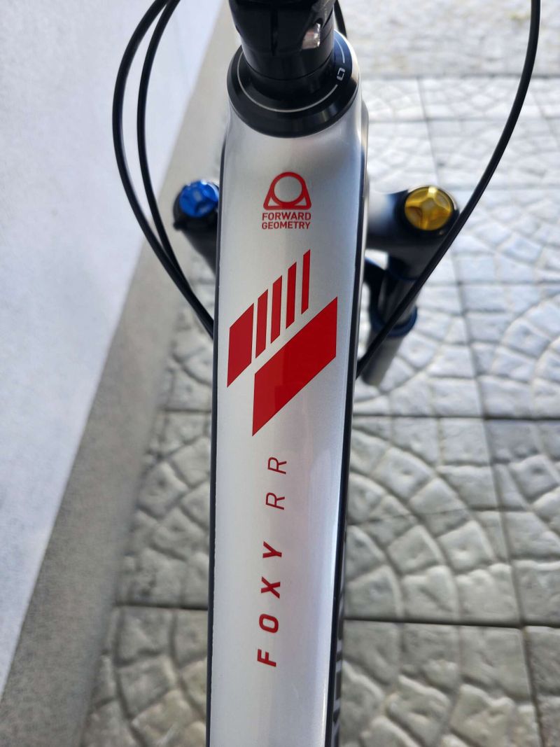 Horské kolo Mondraker Foxy Carbon RR 2021 29”