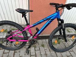 Stevens Team RC