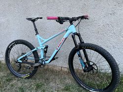 Trek Remedy 7