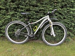 Specialized Jett Expert 29 šedá/bílá/zelená