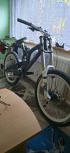kolo santacruz v10