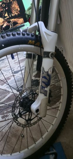 kolo santacruz v10