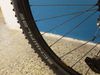 CANNONDALE TRAIL 5