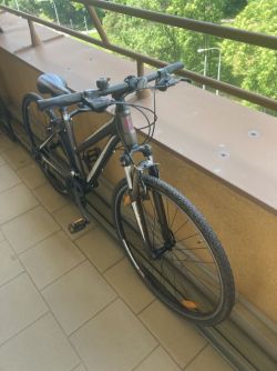 Trekingové kolo Giant Roam 2 Lady 2012