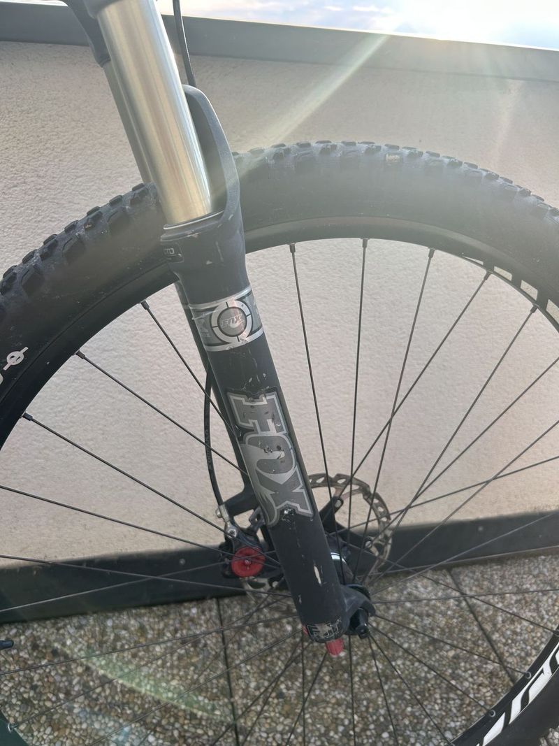 Specialized Rumor expert
