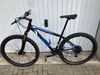 TREK 29