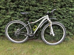 Specialized Jett Expert 29 šedá/bílá/zelená
