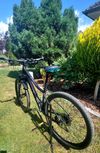 Cube Axess WS Race 