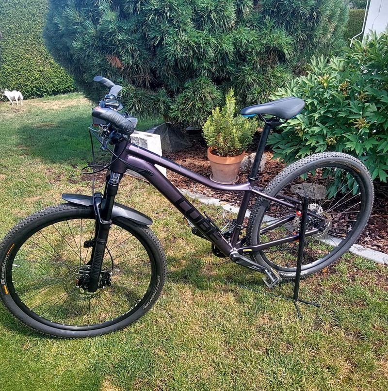 Cube Axess WS Race 