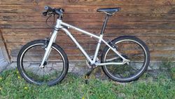 Early Rider Belter 20"
