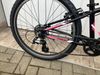 TREK 24