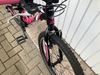 TREK 24