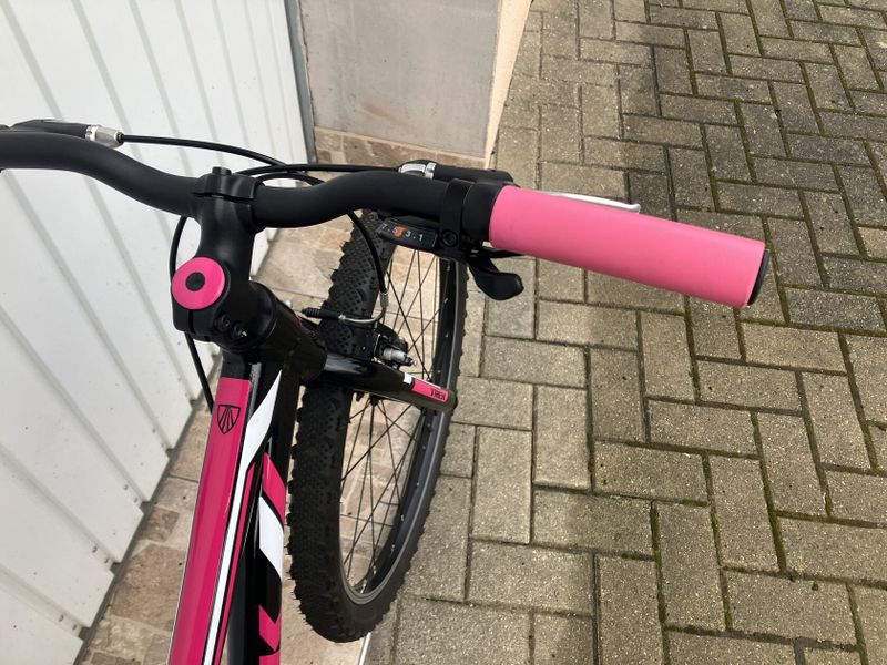TREK 24