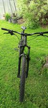 Dartmoor Primal 29