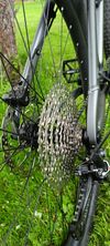 Dartmoor Primal 29
