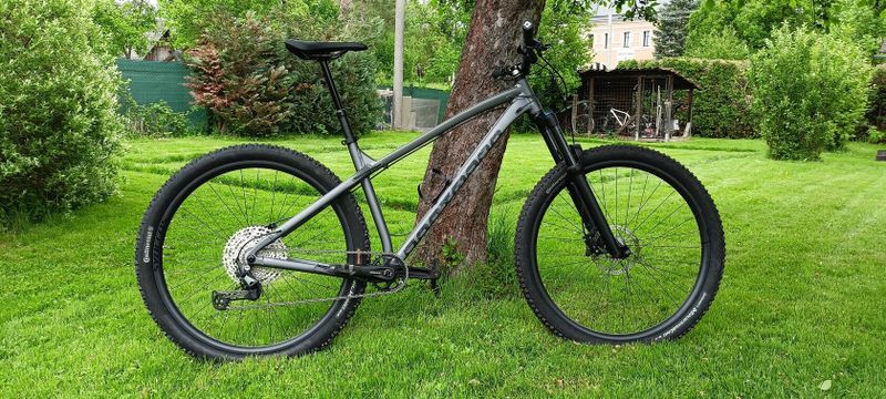 Dartmoor Primal 29