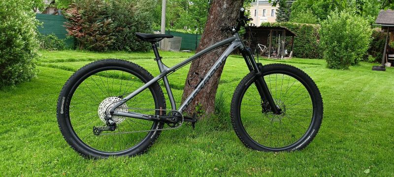 Dartmoor Primal 29