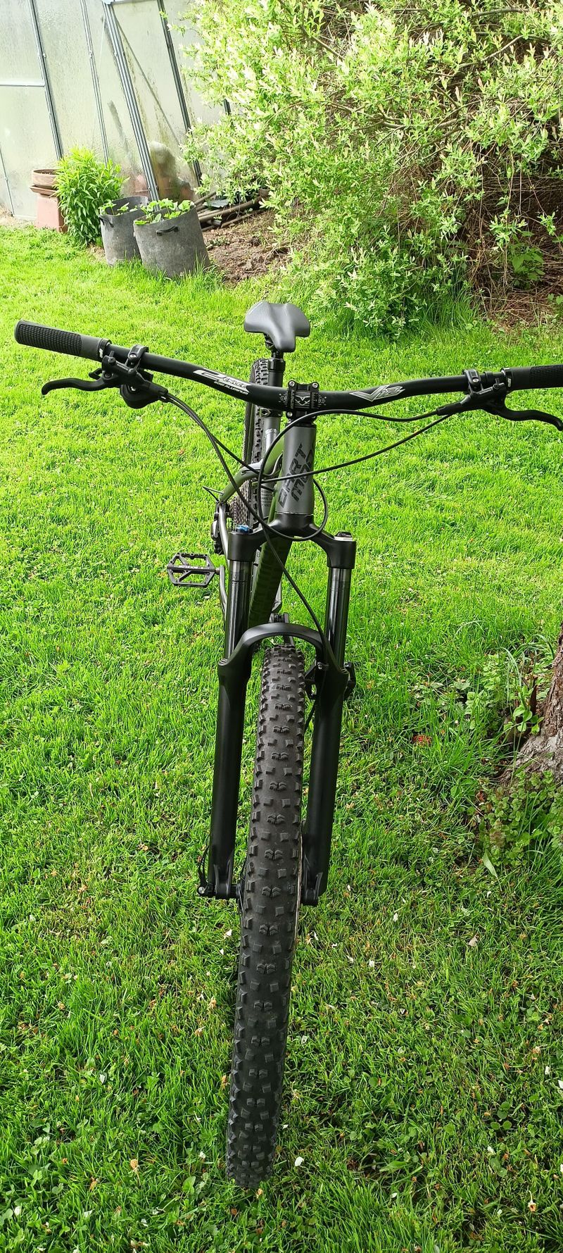 Dartmoor Primal 29