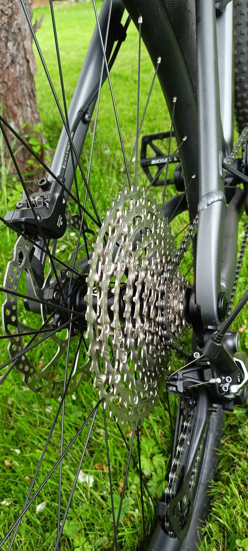 Dartmoor Primal 29