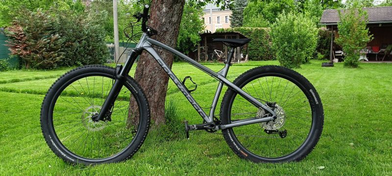 Dartmoor Primal 29