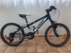 MERIDA DAKAR 620