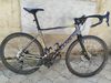 Kellys Soot 50 2020