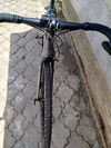 Kellys Soot 50 2020