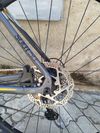 Kellys Soot 50 2020
