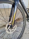 Kellys Soot 50 2020