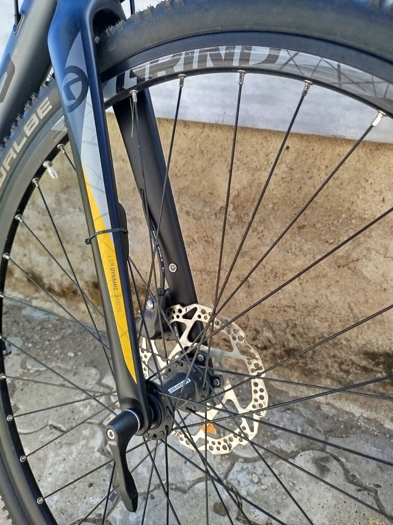 Kellys Soot 50 2020