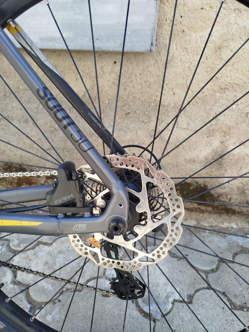 Kellys Soot 50 2020