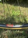 Colnago Nuovo Mexico