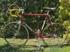 Colnago Nuovo Mexico
