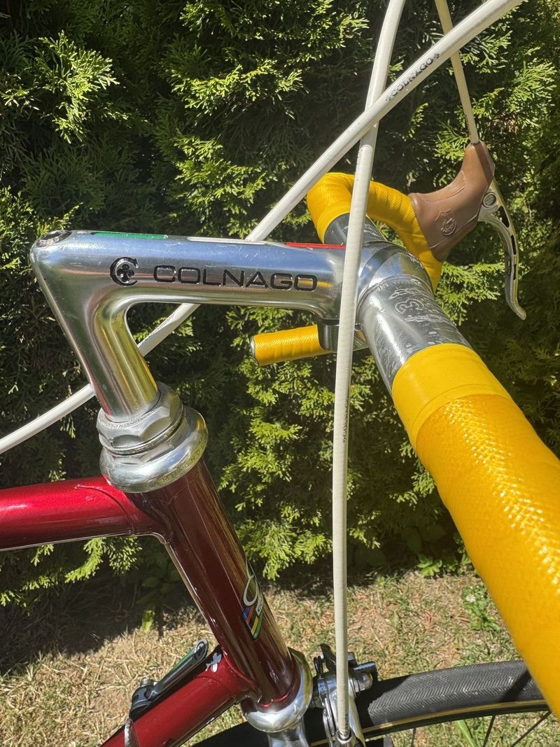 Colnago Nuovo Mexico