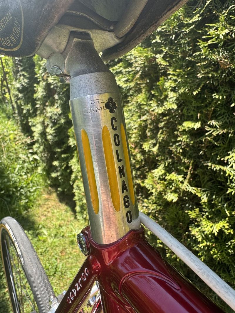 Colnago Nuovo Mexico