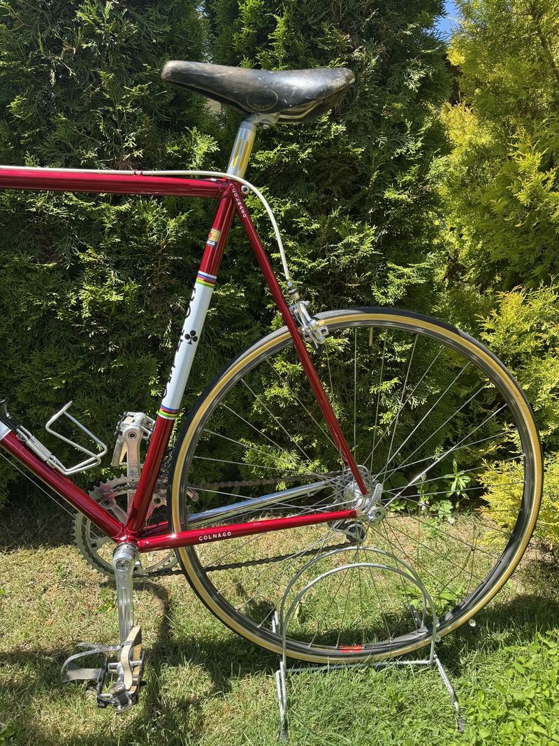 Colnago Nuovo Mexico