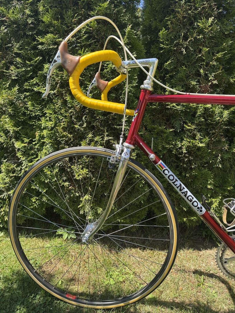 Colnago Nuovo Mexico