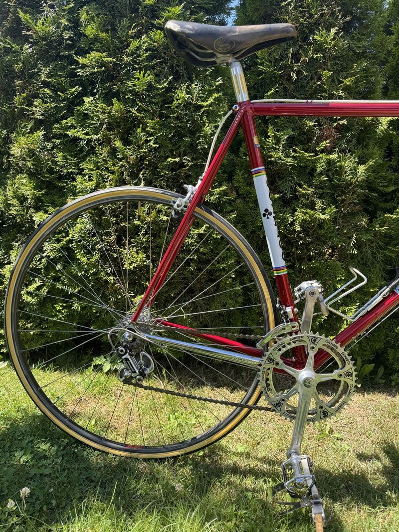 Colnago Nuovo Mexico