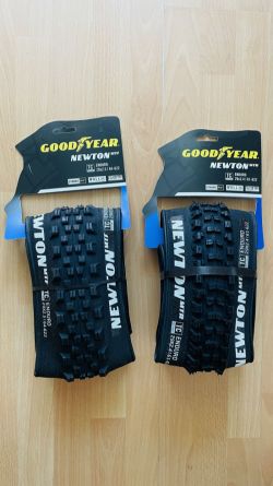 Goodyear Newton Enduro