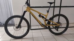 Sworks Stumpjumper evo