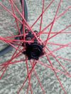 Karbonová kola 1150g, berd spokes, kotouče