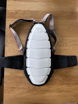 Dainese shield 7 evo