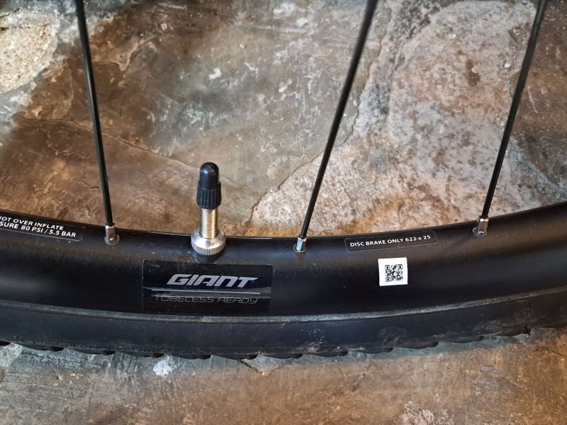Prodám gravel kola Giant SX2 včetně plášťů a 160 kotoučů