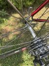 Colnago Nuovo Mexico