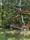Colnago Nuovo Mexico