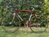 Colnago Nuovo Mexico