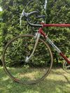 Colnago Nuovo Mexico