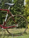 Colnago Nuovo Mexico