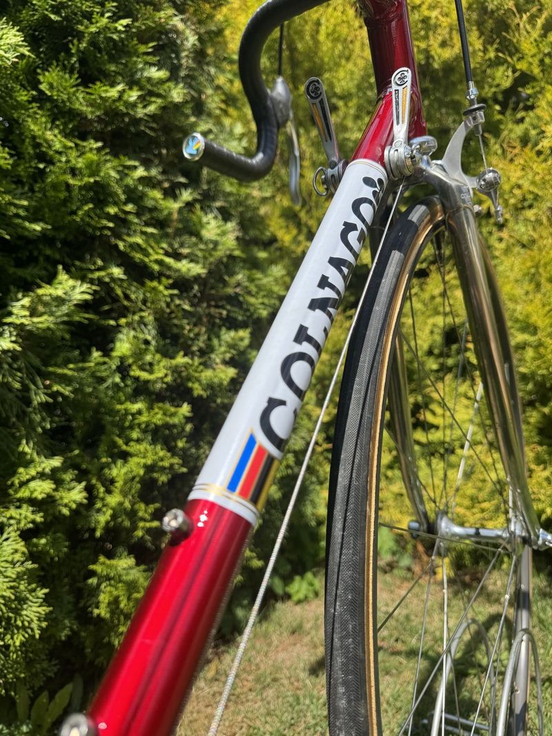 Colnago Nuovo Mexico
